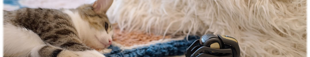 サンプル店舗（マニュアル用）