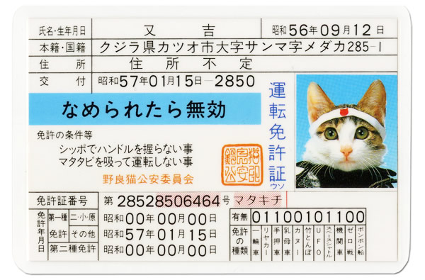 又吉  (なめ猫)
