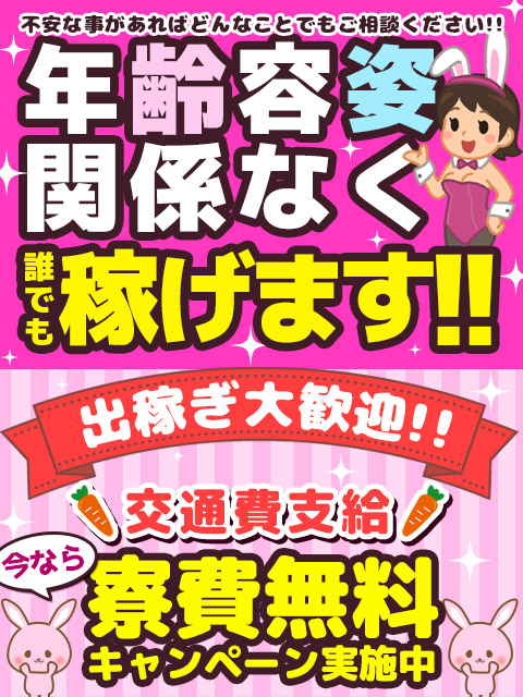 うさぎちゃん